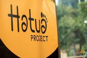 Hatua project