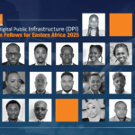 Co-Develop DPI Journalism Fellowship